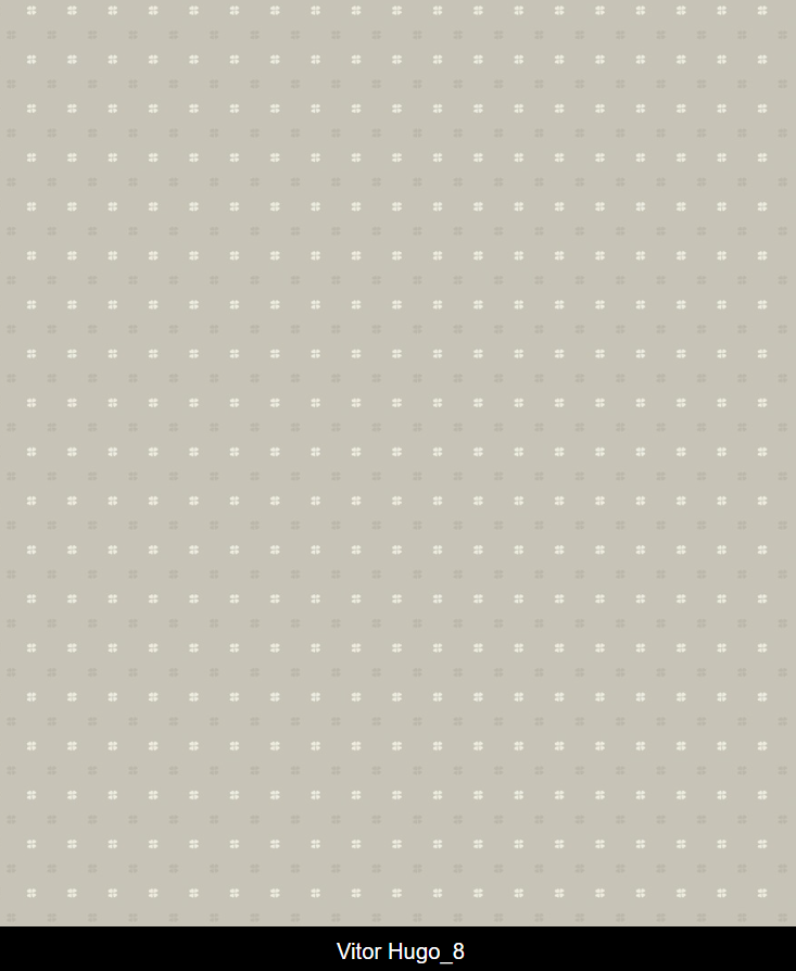 vitor Hugo_08.png