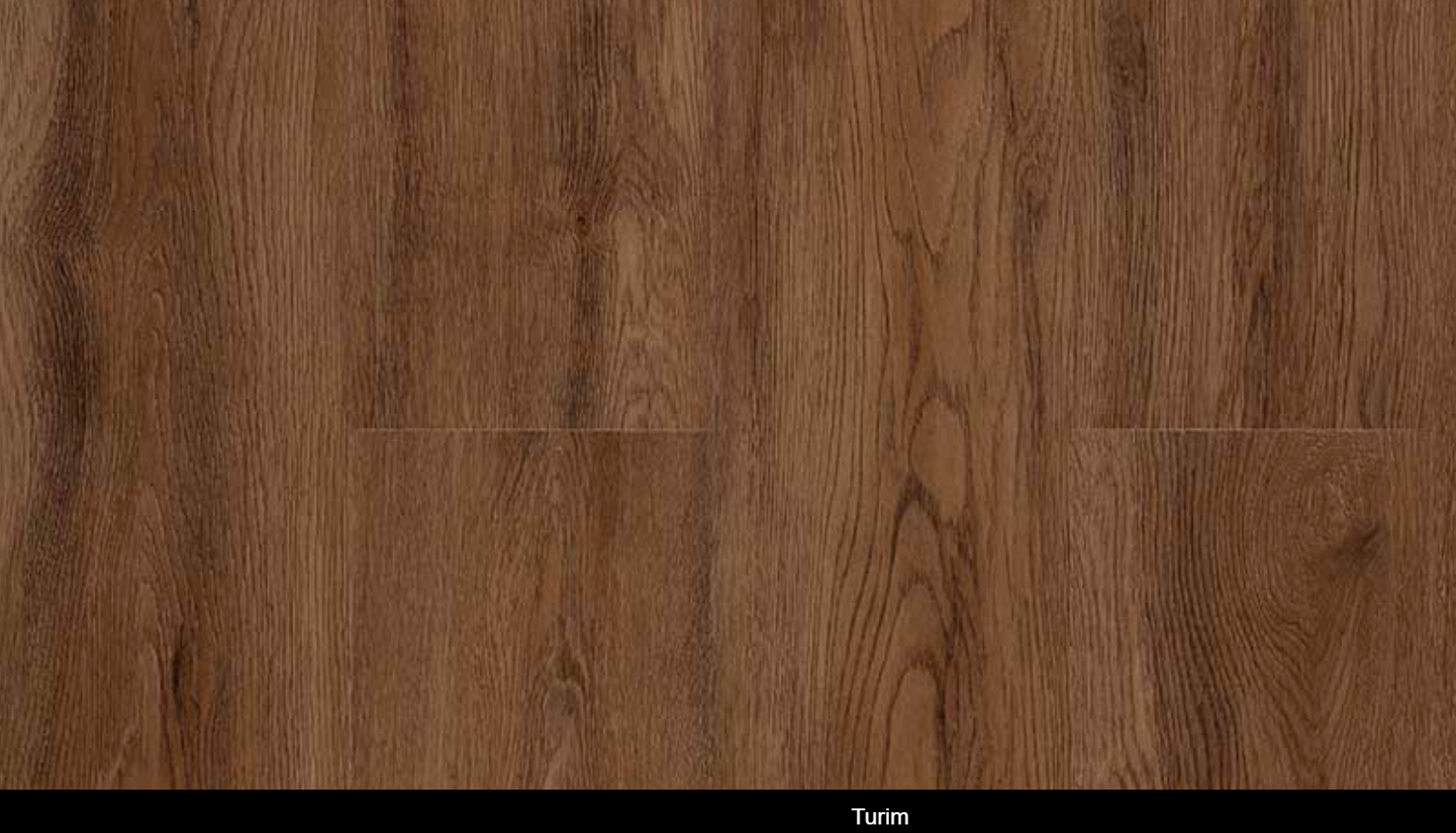 Linha Turim.png