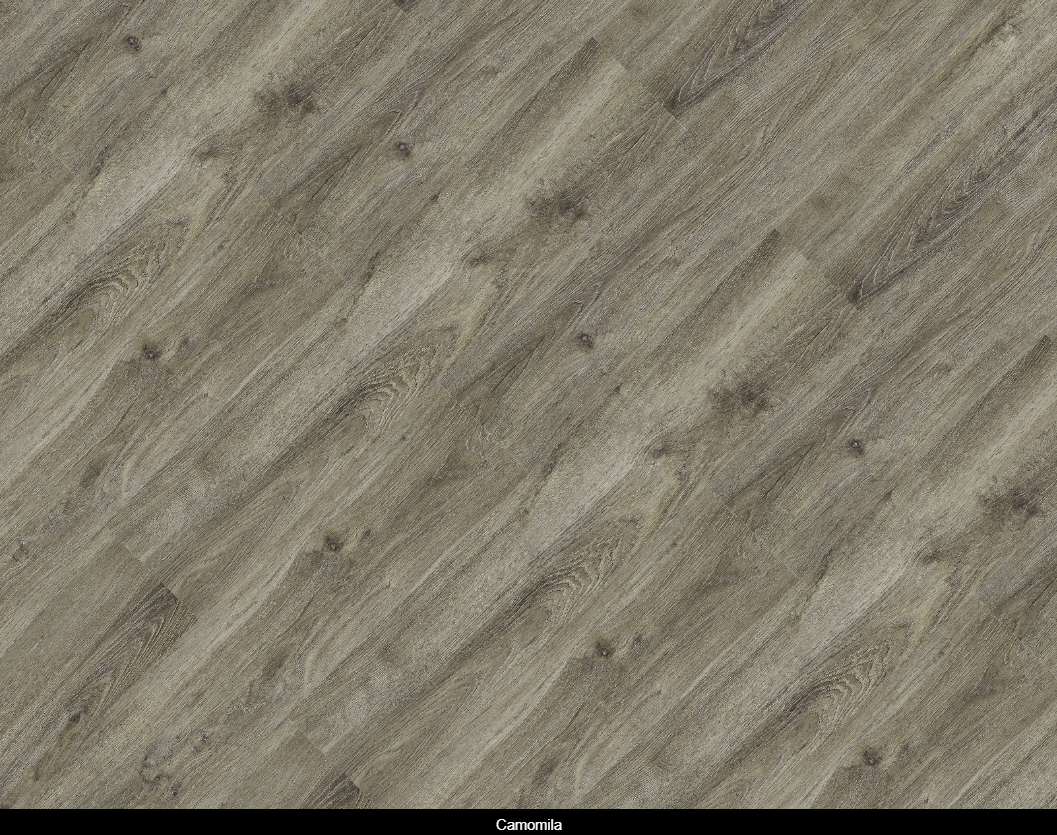 Camomila.png