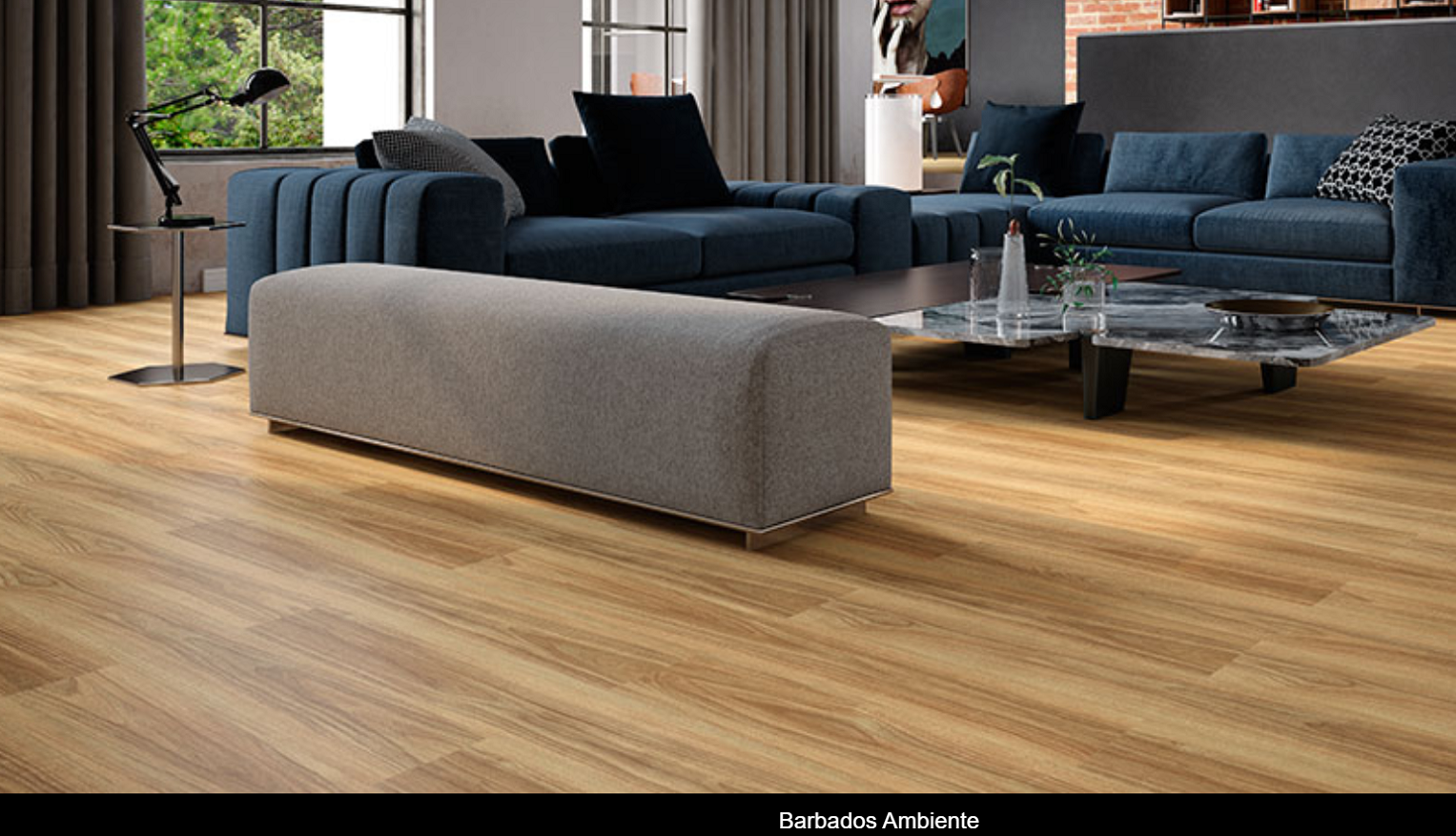 Linha Barbados Ambiente.png