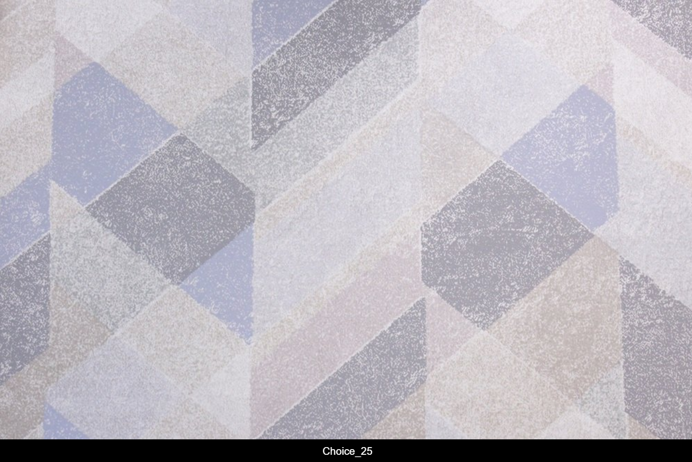 Choice_25.png