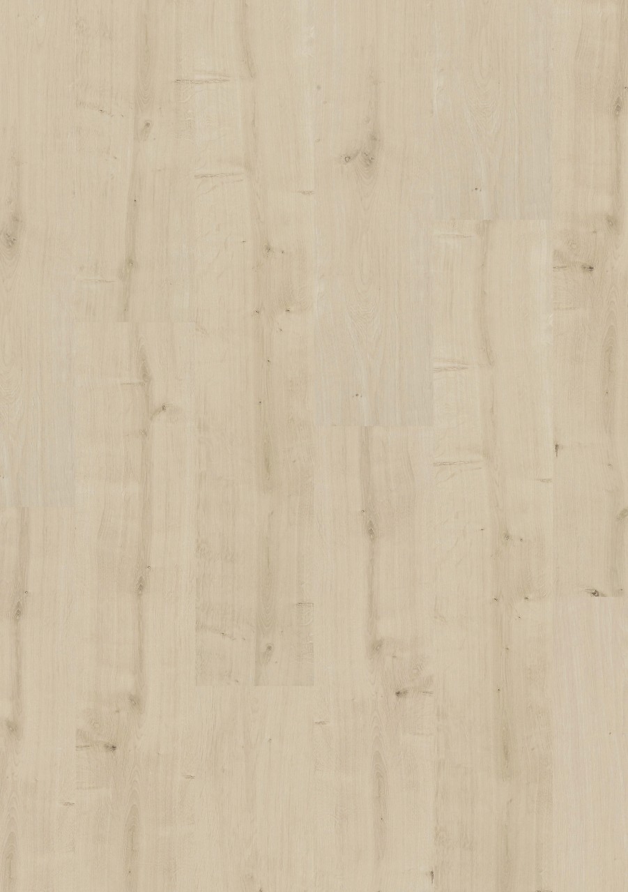 cq5dam web (48).jpeg