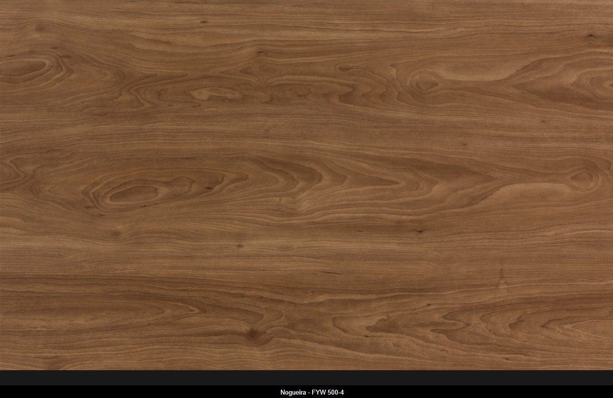 Nogueira - FYW 500-4.png