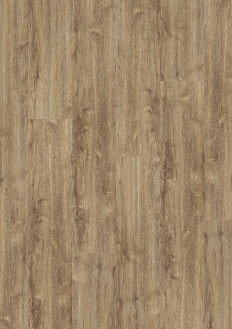 cq5dam web (43).jpeg