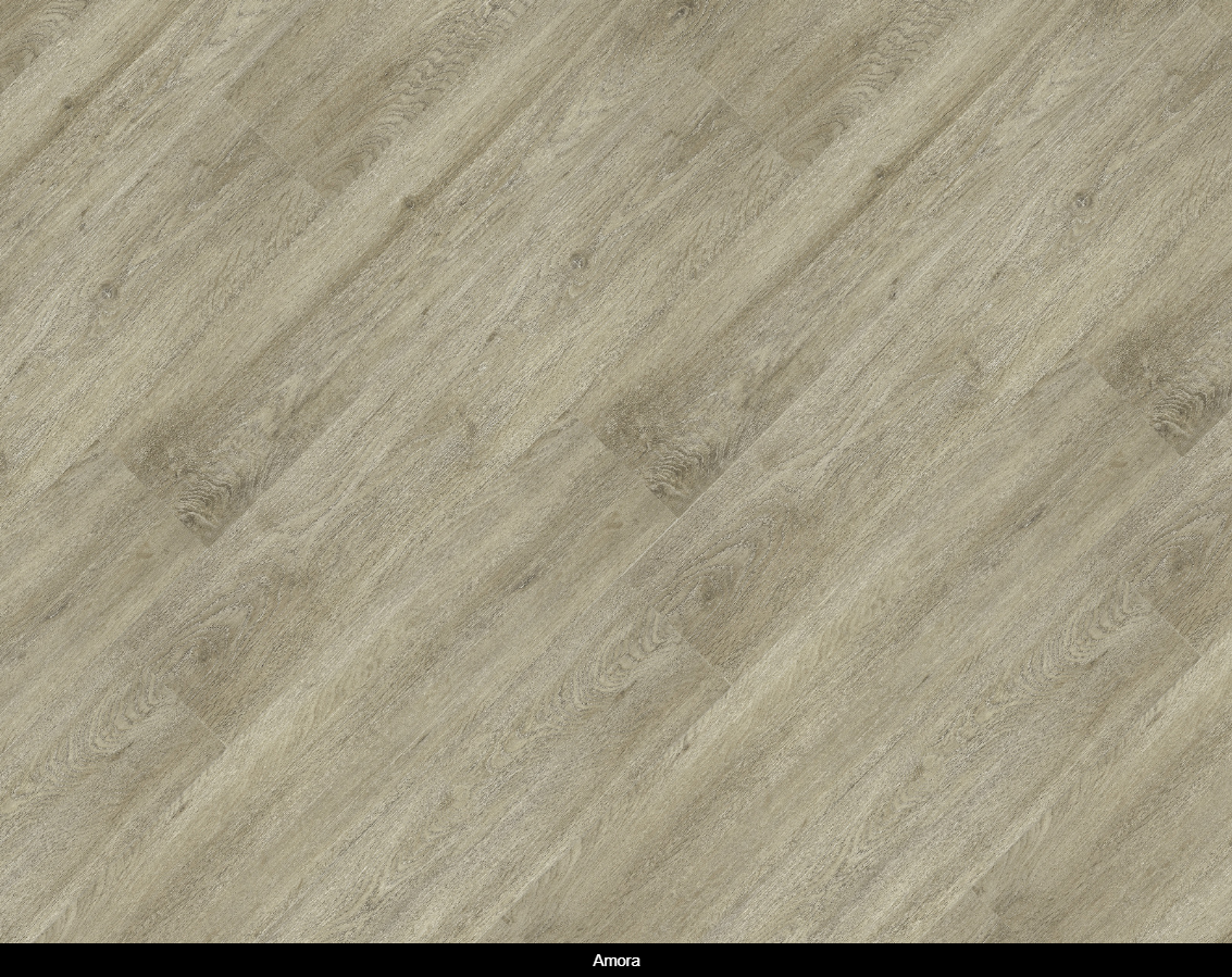 Amora.png