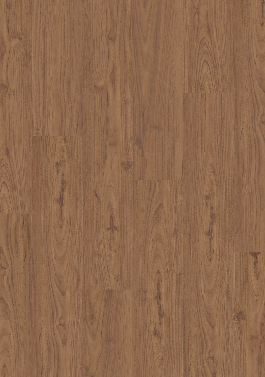 cq5dam web (47).jpeg