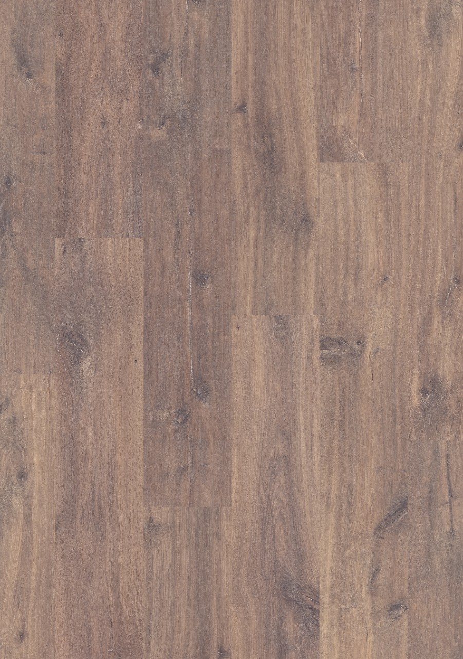 cq5dam web (32).jpeg