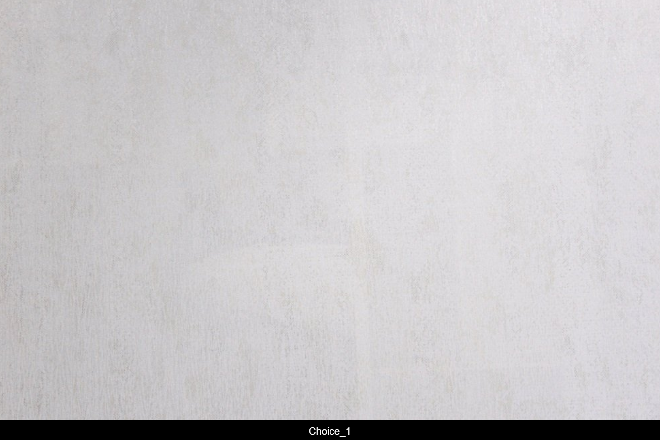 Choice_01.png