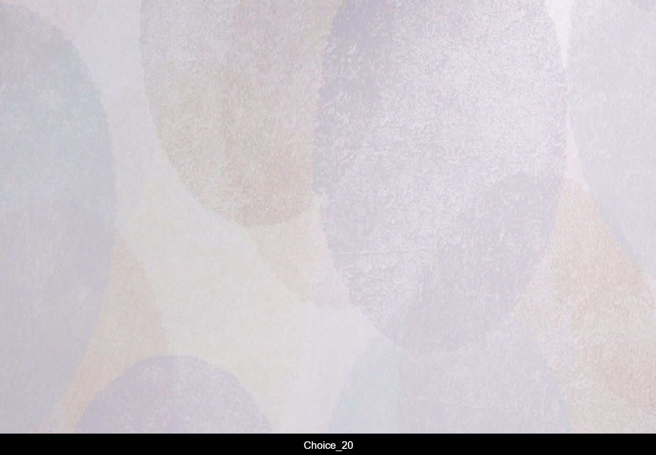 Choice_20.png