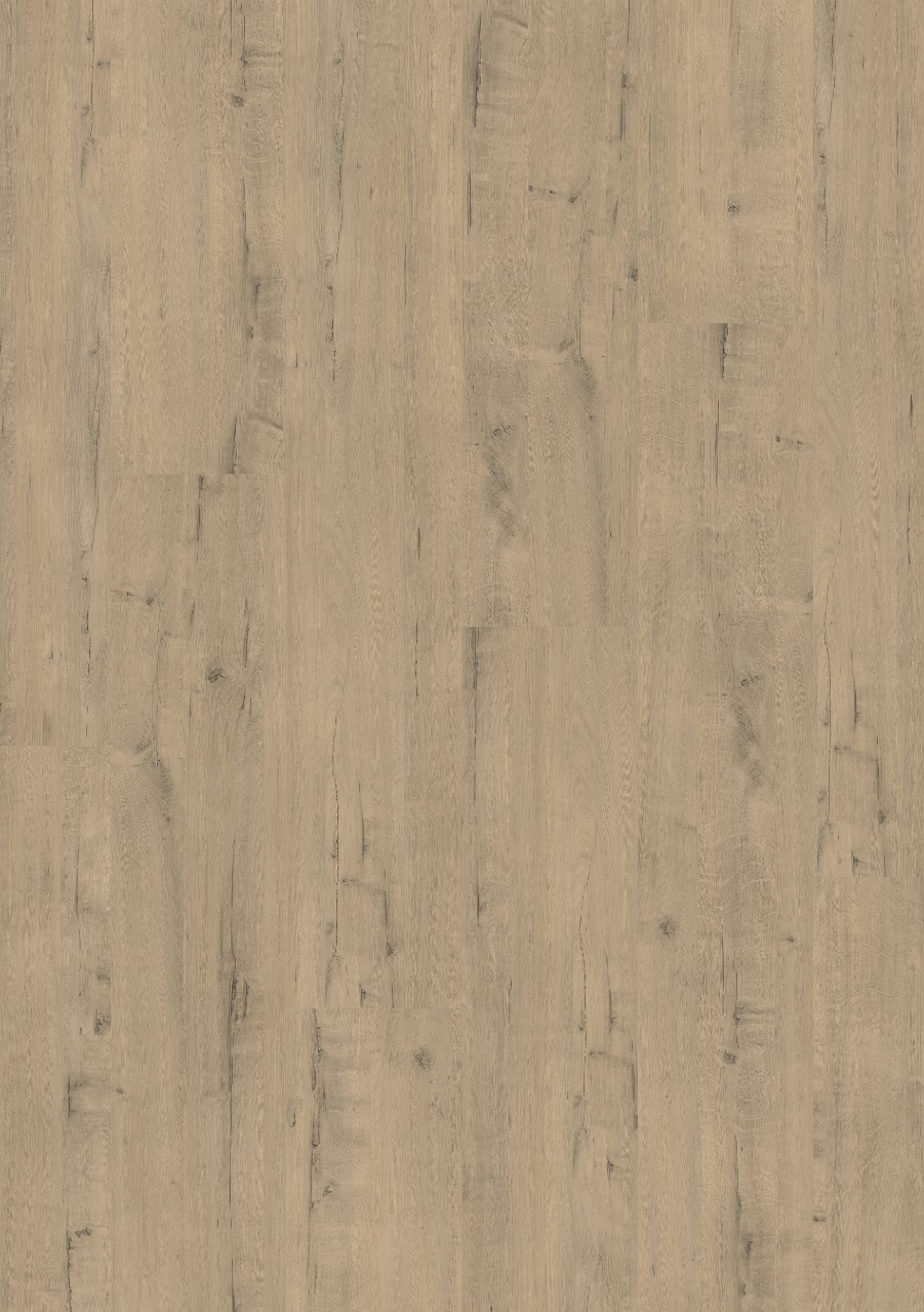 cq5dam web (46).jpeg