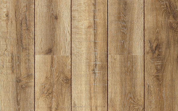 Slider_P_Studio_Arenal.jpg