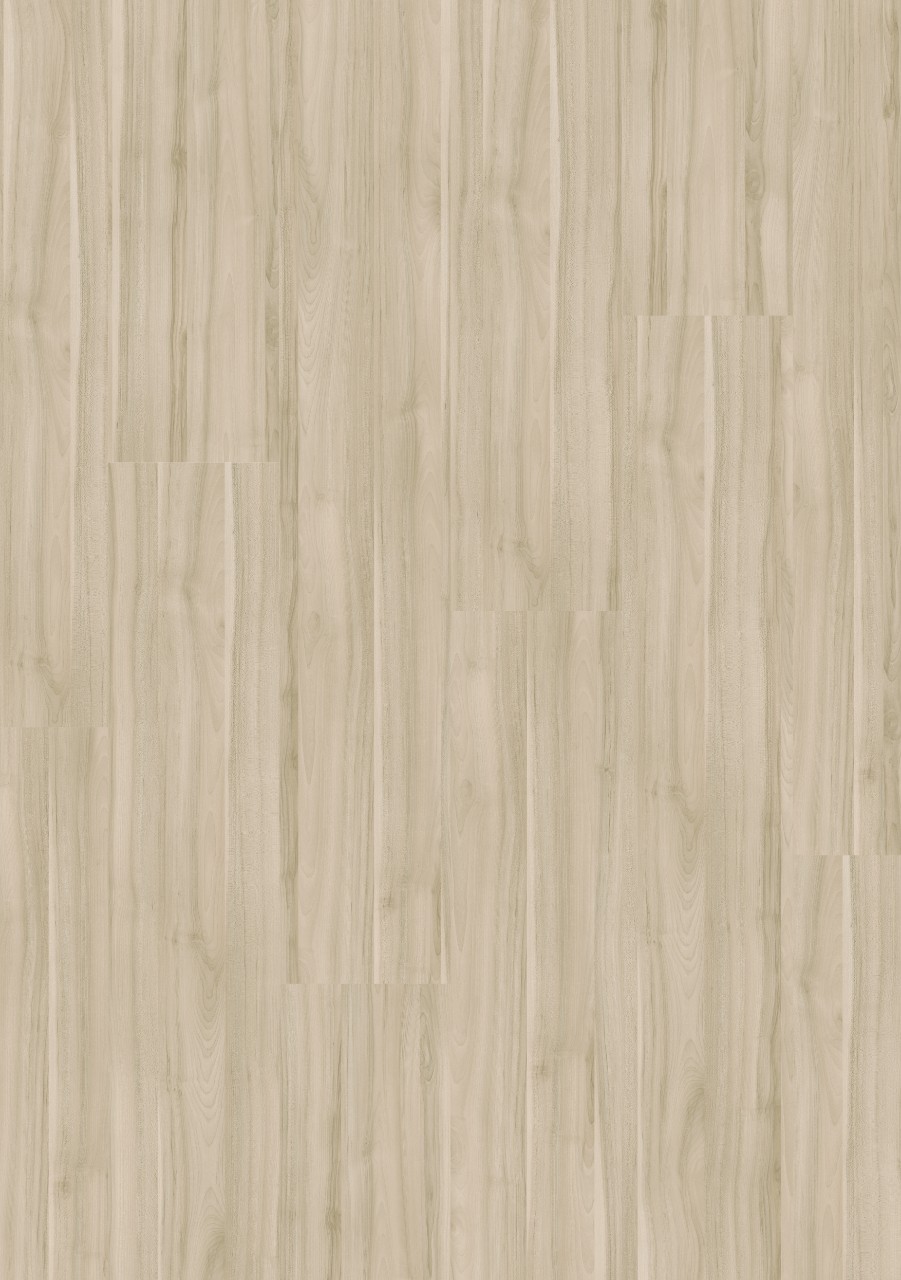 cq5dam web (31).jpeg