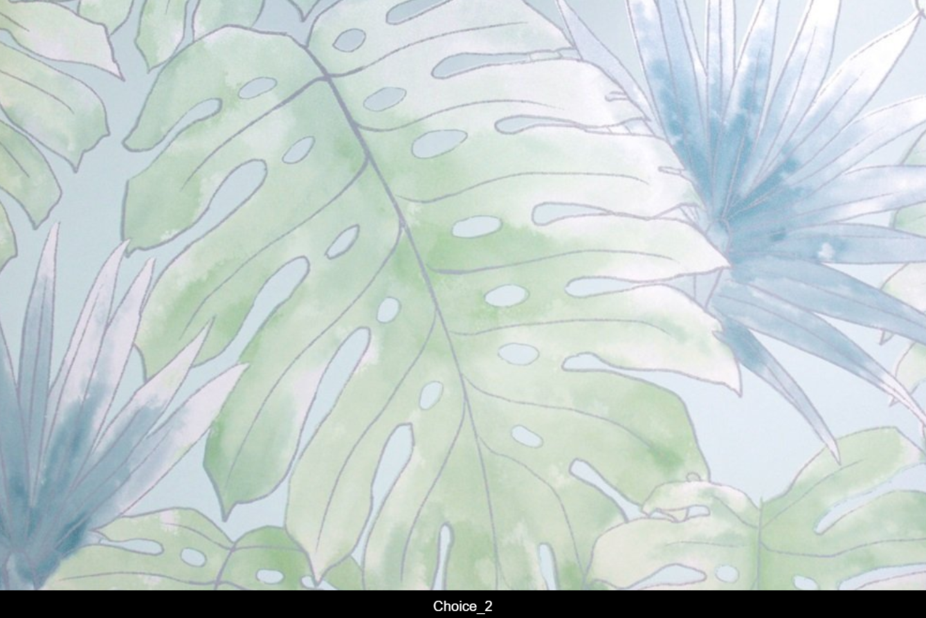 Choice_02.png